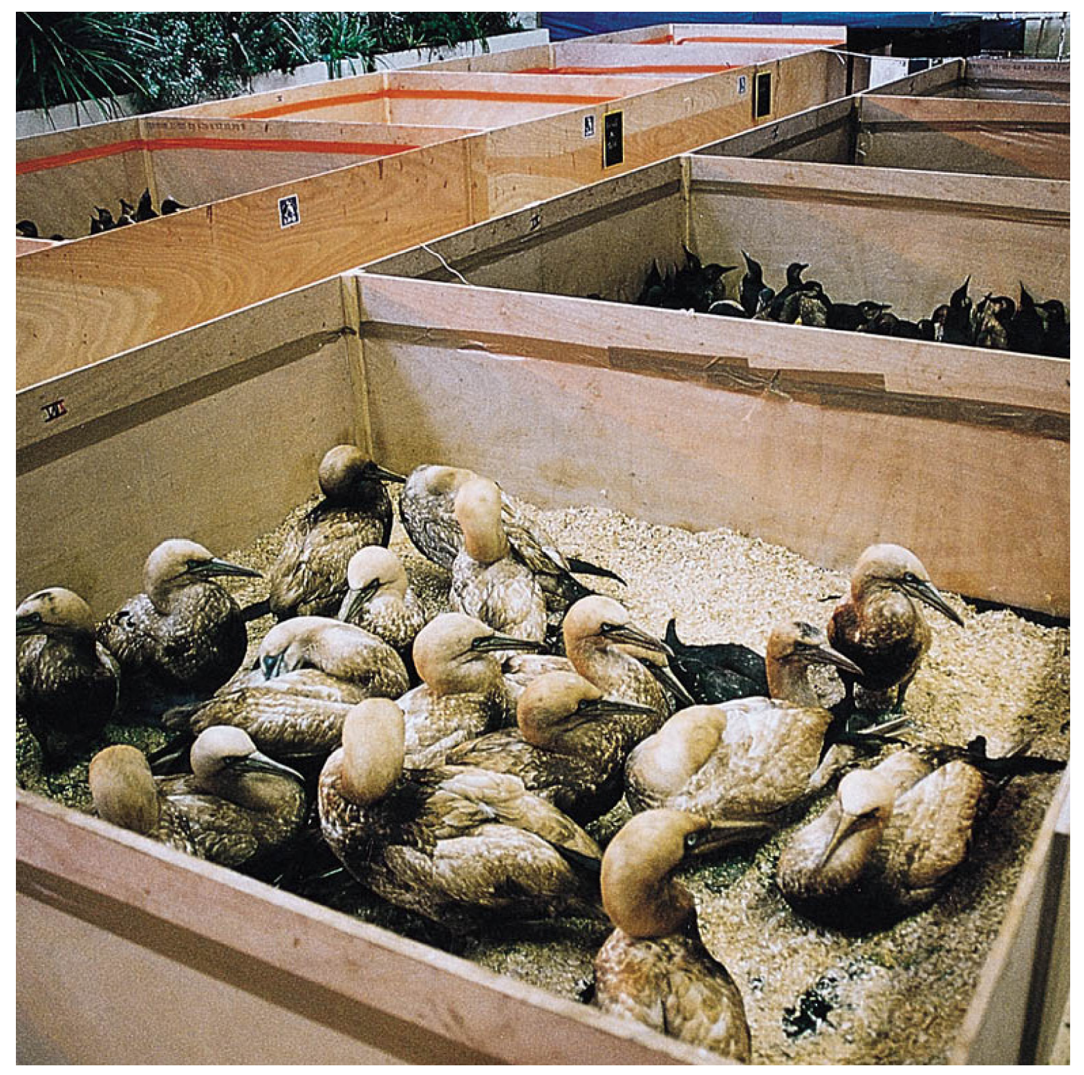 Capture d'écran 2026 01 25 131643